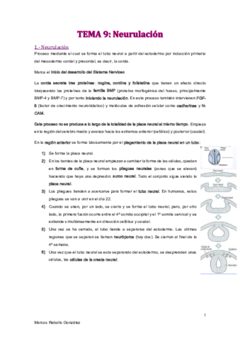 TEMA-9.pdf