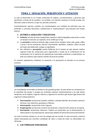 TEMA-2.pdf