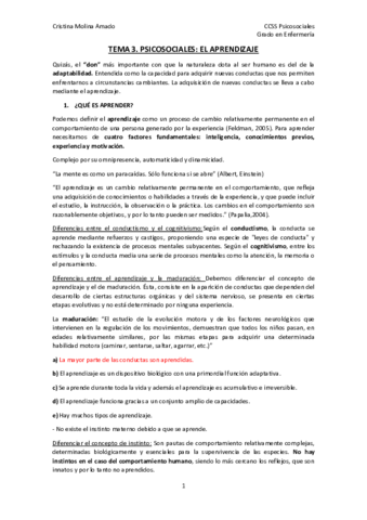 TEMA-3.pdf