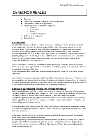 capitulo-XIII-DERECHOS-REALES.pdf