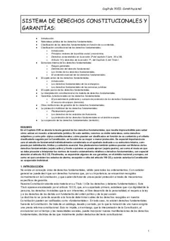 capitulo-xvii-constitucional.pdf