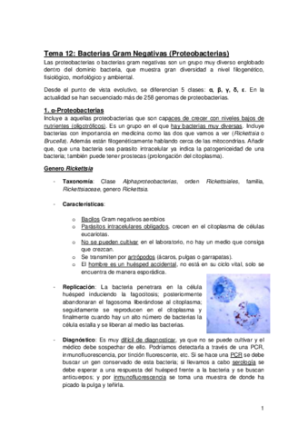 Apuntes-bacterias-T12-13-14.pdf
