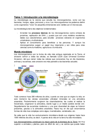 Apuntes-micro-primer-cuatri.pdf