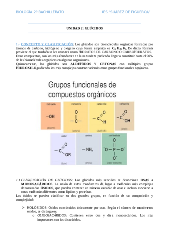 Glucidos.pdf