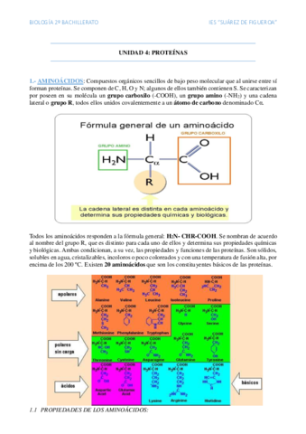Proteinas.pdf