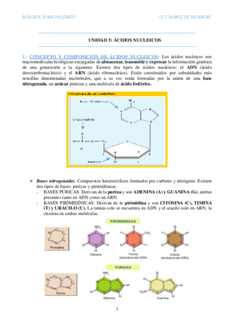 Acidos-nucleicos.pdf