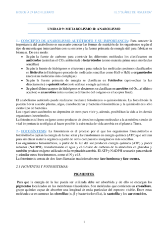 Anabolismo.pdf