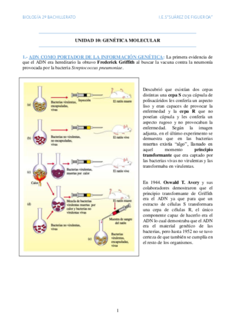 Genetica-molecular.pdf