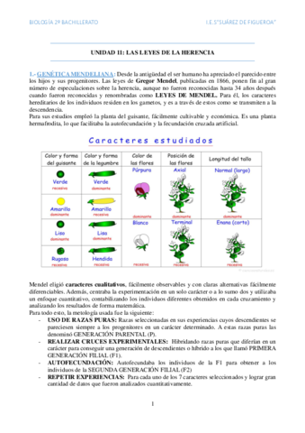 Leyes-de-la-herencia.pdf