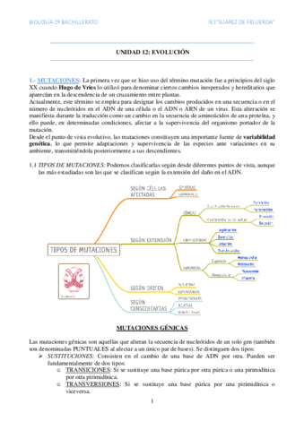 Evolucion.pdf