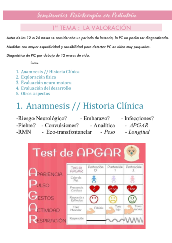 1o-Seminario-Fisioterapia-en-Pediatria.pdf
