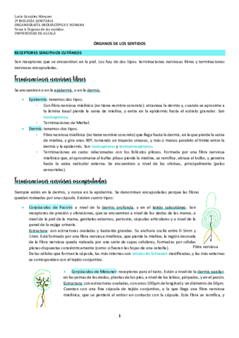 Tema-6-Organos-de-los-sentidos.pdf