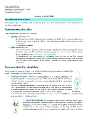Tema-6-Organos-de-los-sentidos.pdf