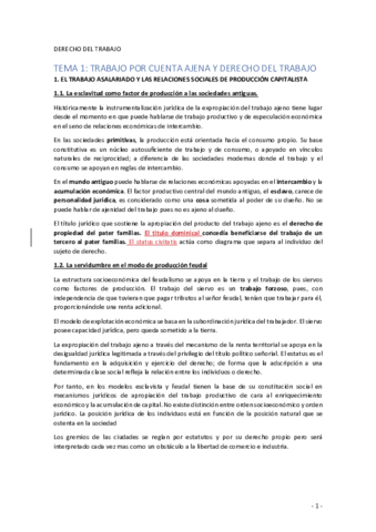 Temario-Derecho-laboral.pdf