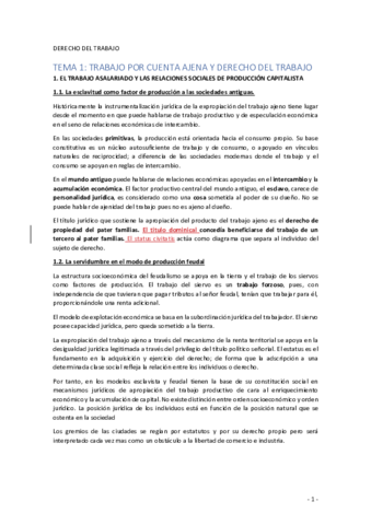 Temario-Derecho-laboral.pdf