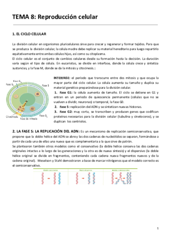 TEMA-8-Reproduccion-celular-1.pdf