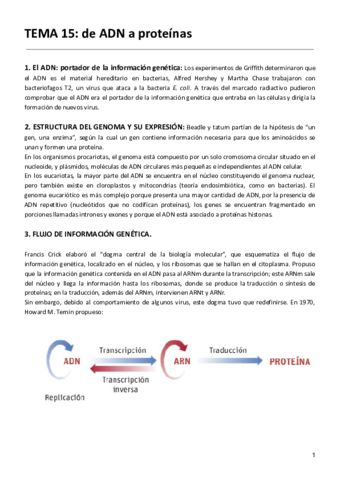 TEMA-15-de-ADN-a-proteinas-2.pdf