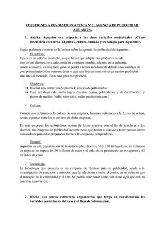 PRACTICA-No2-DISENO-ORGANIZATIVO.pdf