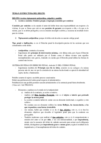 TEMAS-PARTE-PENAL.pdf