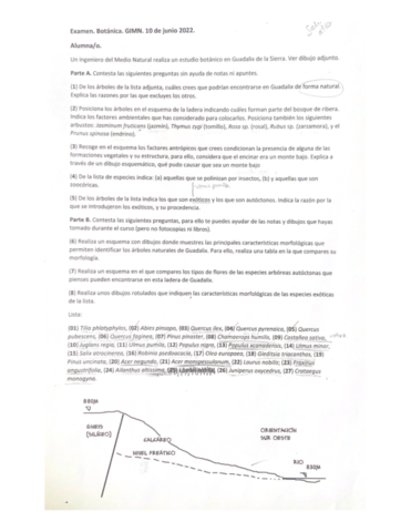 Examen-Botanicamartamerinno.pdf