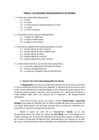 TEMA-6-GEOGRAFIA.pdf