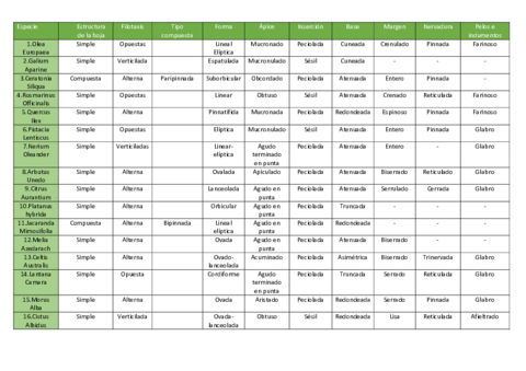 Clave-dicotomica.pdf