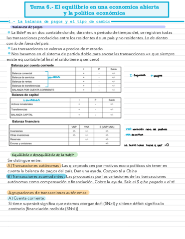 Tema-6.pdf