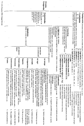 Oracion-compuesta.pdf