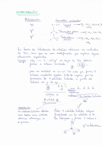 Hibridacion.pdf