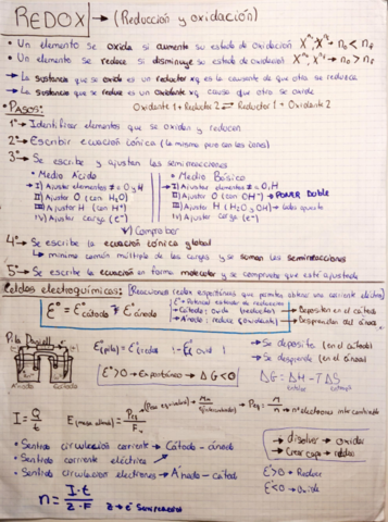 REDOX.pdf
