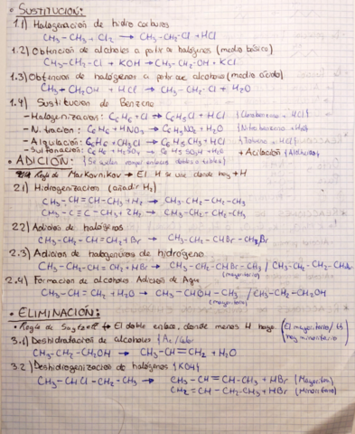 ORGANICA.pdf