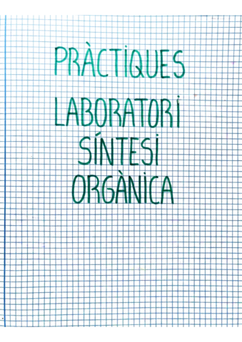 Llibreta-Laboratori-Sintesi-Organica.pdf