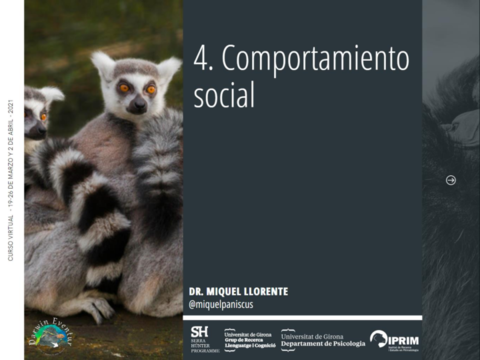 4-Comportamiento-social.pdf