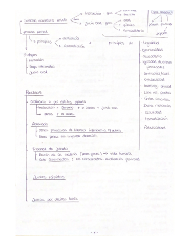 Esquemas-derecho-procesal-penal-temas-1.pdf