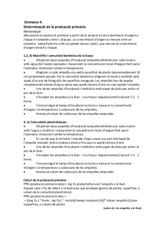 Protocolsetmana4.pdf