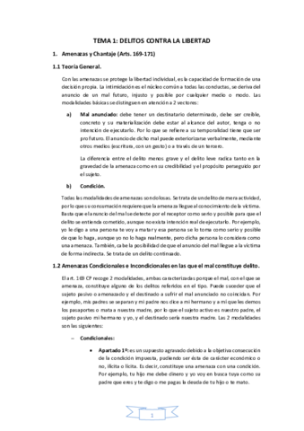 Apuntes-PENAL-ESPECIAL.pdf
