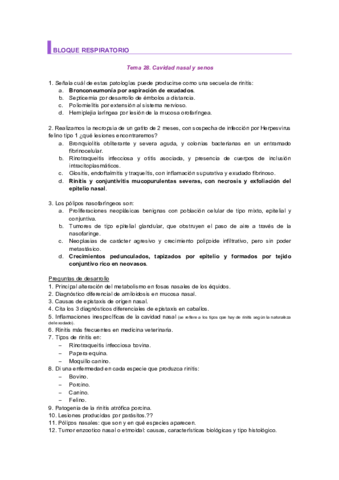 EXAMEN-APE-2o-PARCIAL.pdf