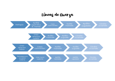 Lineas-de-fuerza.pdf