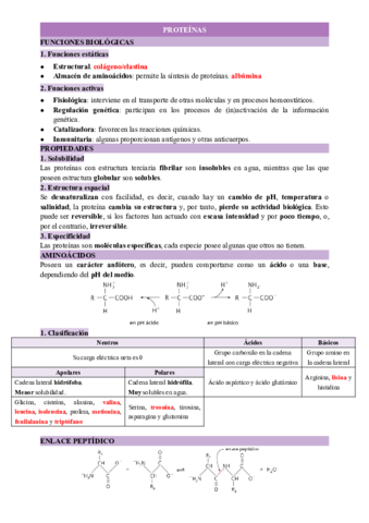 PROTEINAS.pdf