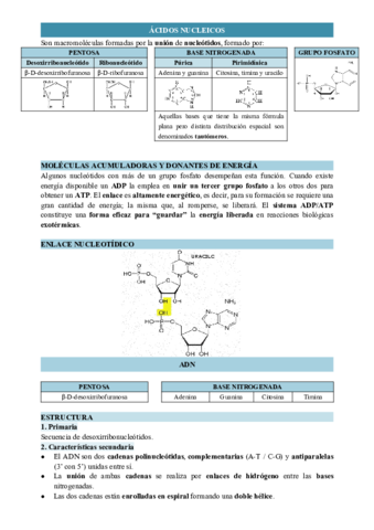 ACIDOS-NUCLEICOS.pdf