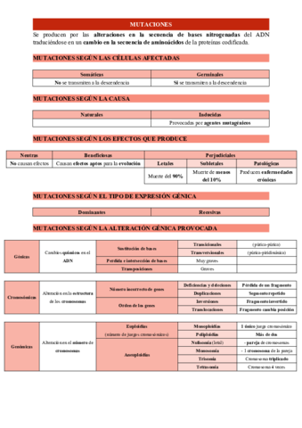MUTACIONES.pdf