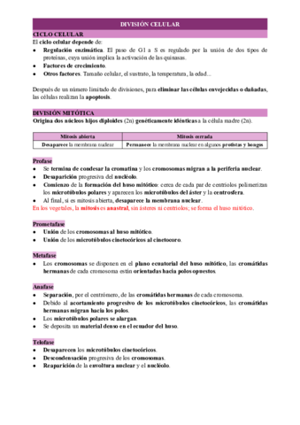 DIVISION-CELULAR.pdf