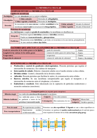 LA-MEMBRANA-CELULAR.pdf