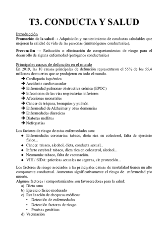 T3.pdf
