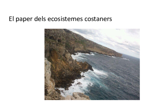 Tema8-Oceans3costaners.pdf