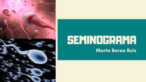 Seminograma.pdf