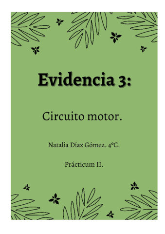 Evidencia-3.pdf