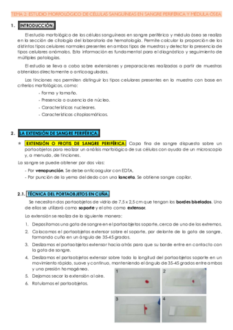 TEMA-2.pdf