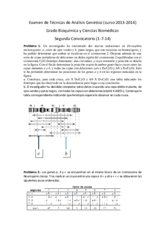 Examen TAG Julio 2013.pdf