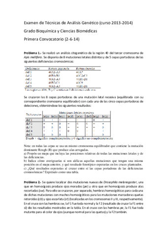 Examen Tag Junio 2013.pdf